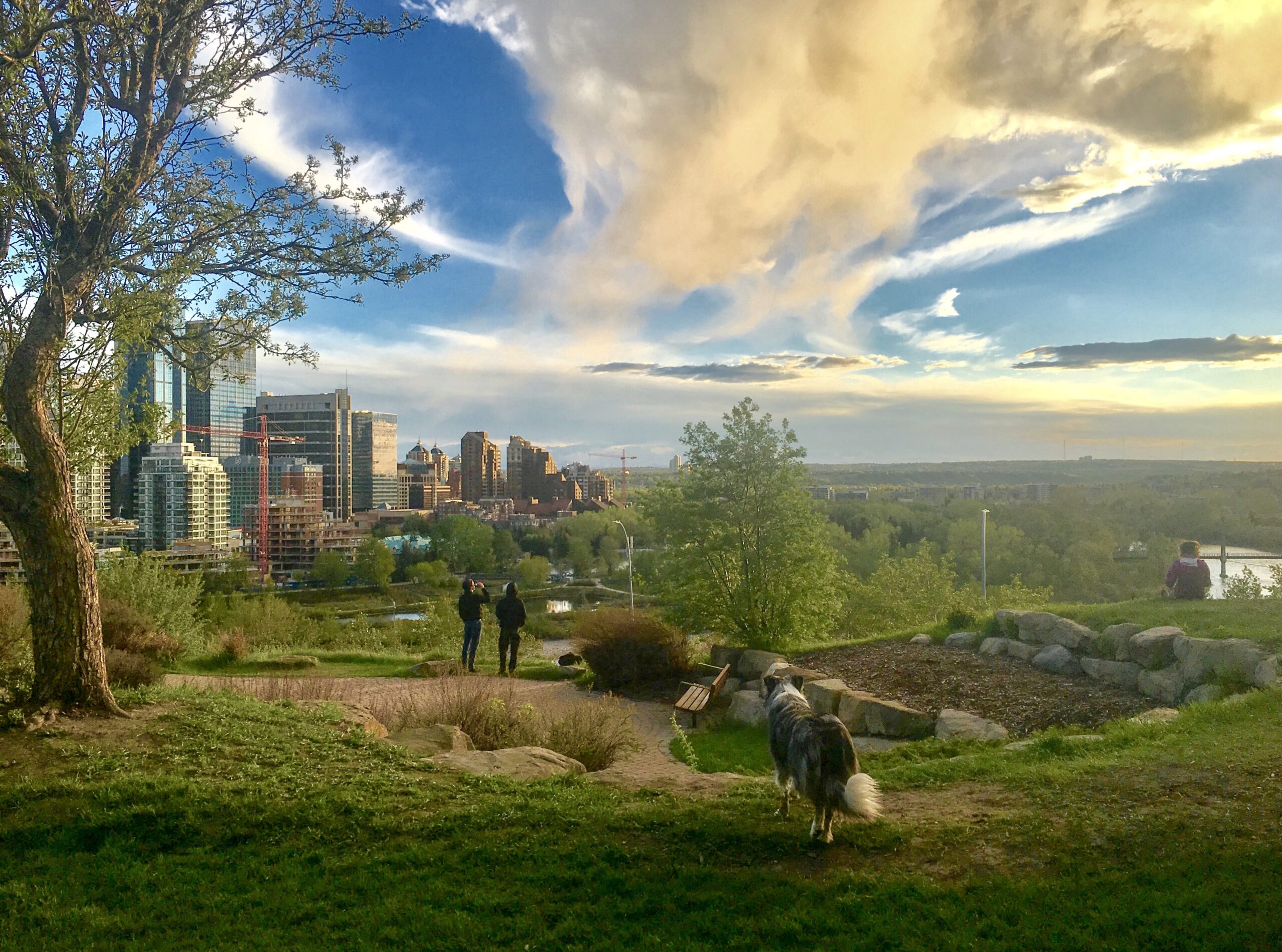 Calgary, Alberta, Canada